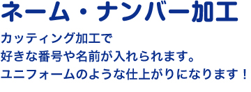 カッティング加工でナンバー・名前が入れられる。