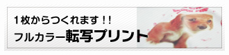 １枚からつくれます！！